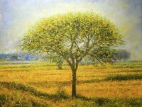 Imran Zaib, 25 x 32 Inch, Oil on Canvas,  Landscape Painting, AC-IZ-005